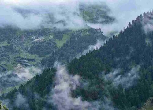 Kashmir Paradise Tour Package