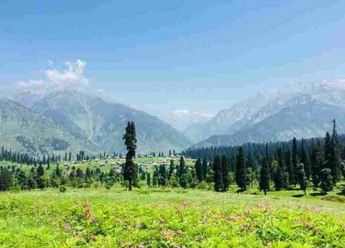Enchanting Kashmir Tour Package